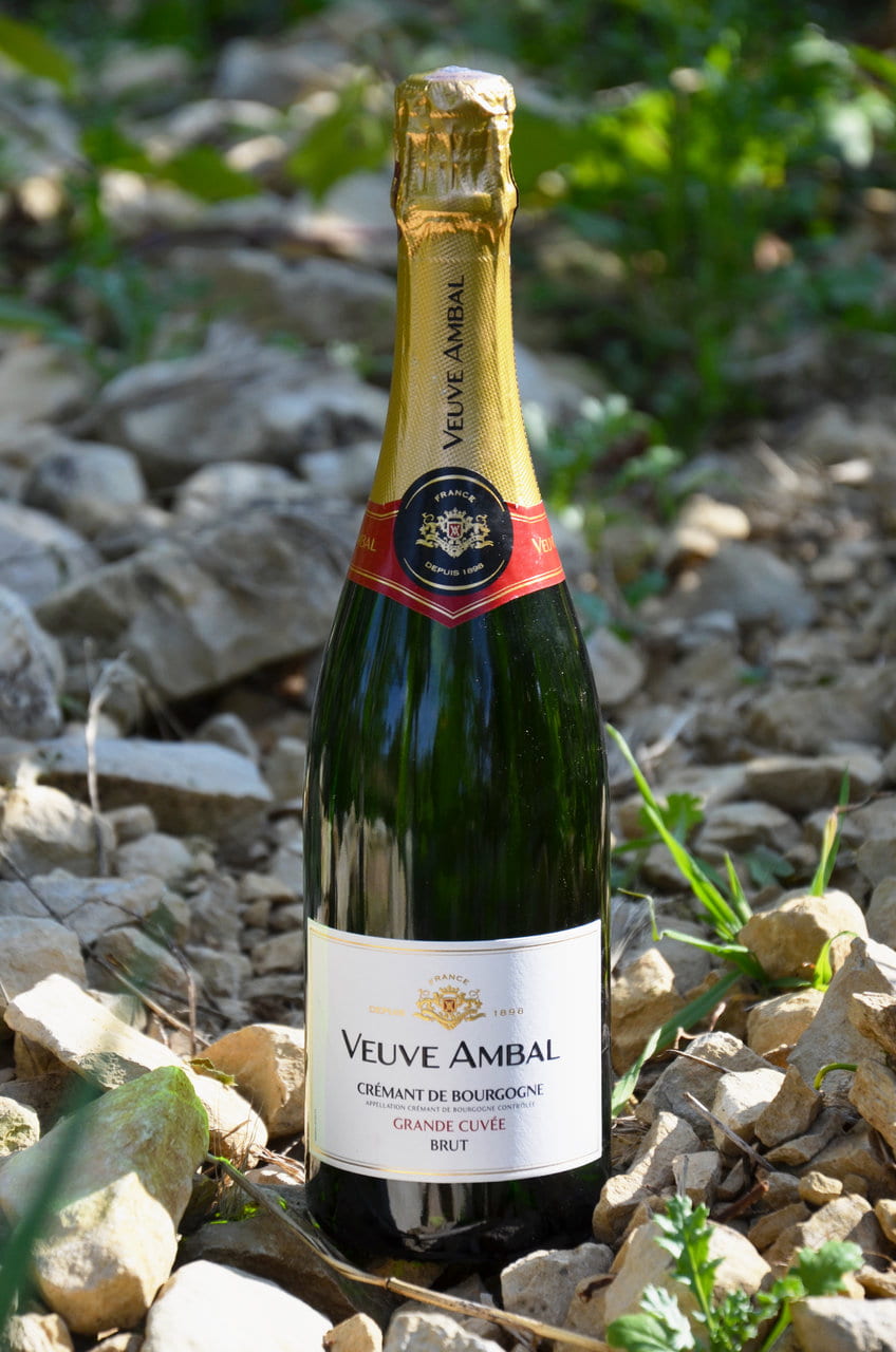 VEUVE AMBAL-Packshot-vignes-4.jpg