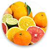 saveur-citrus.png